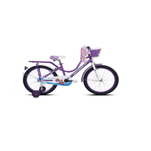 BSA Champ Toonz Plus 20 Sanrocycles