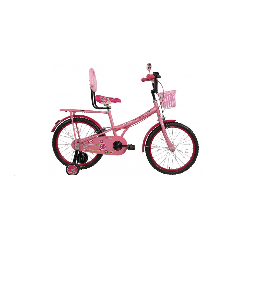 Bsa Champ Flora Bsa Flora Cycle Bsa Flora 20 Inch Bicycle Price Shop