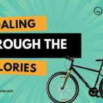 Pedaling Through the Calories: A Deep Dive into Cycling's Energy Dynamics